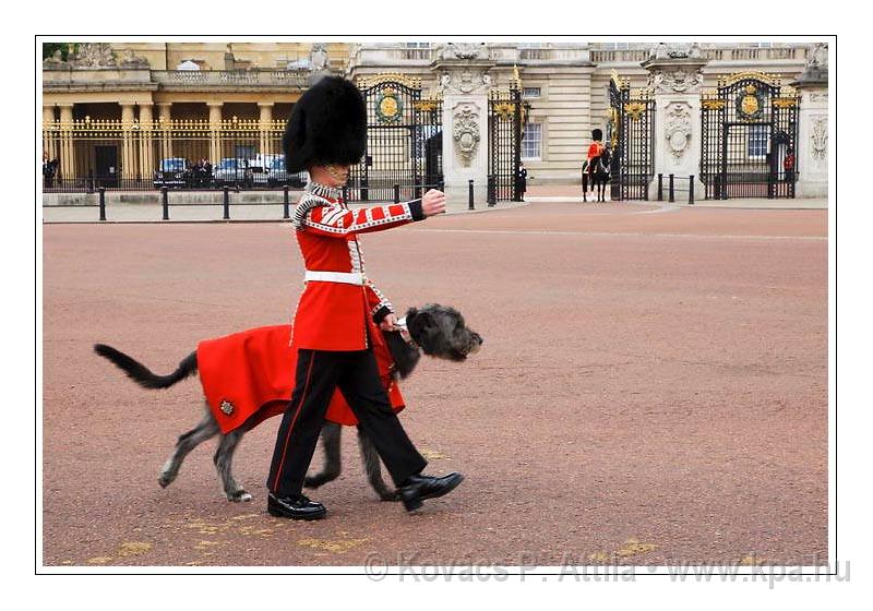 Trooping the Colour 025.jpg